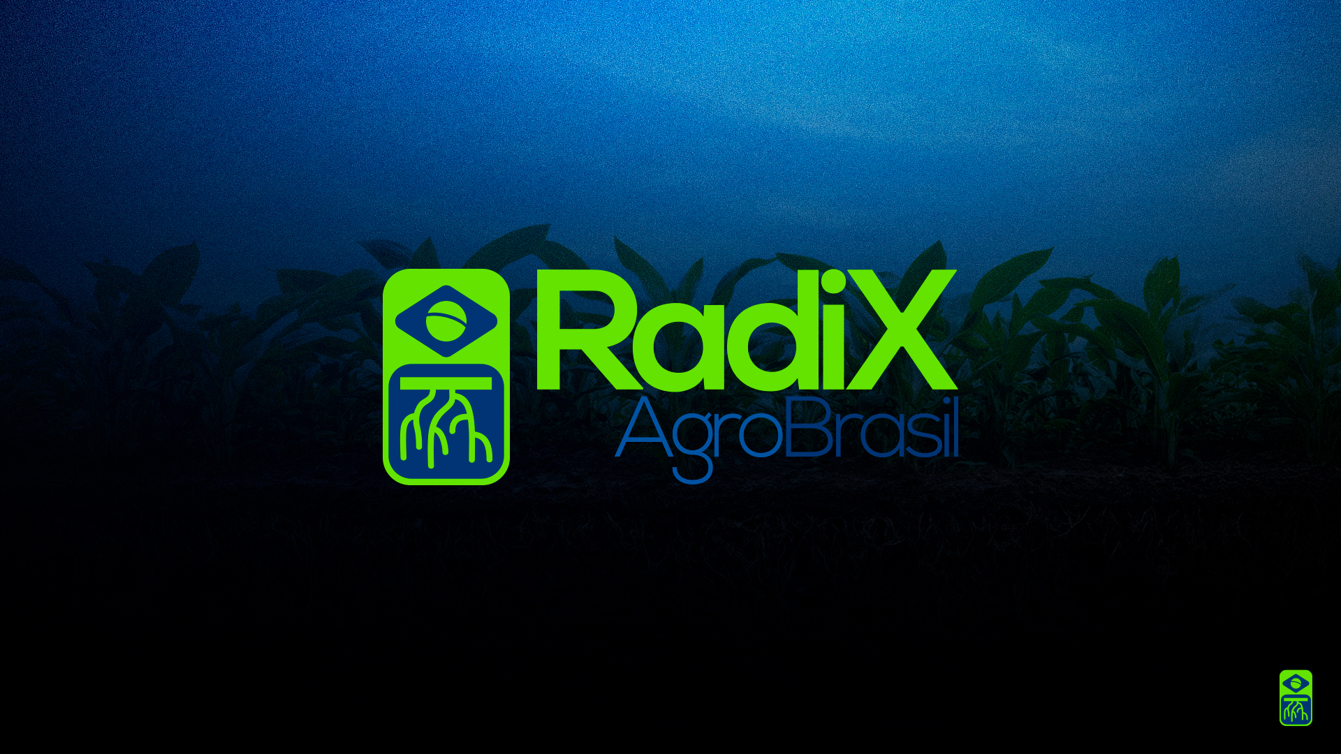 Radix Agro Brasil